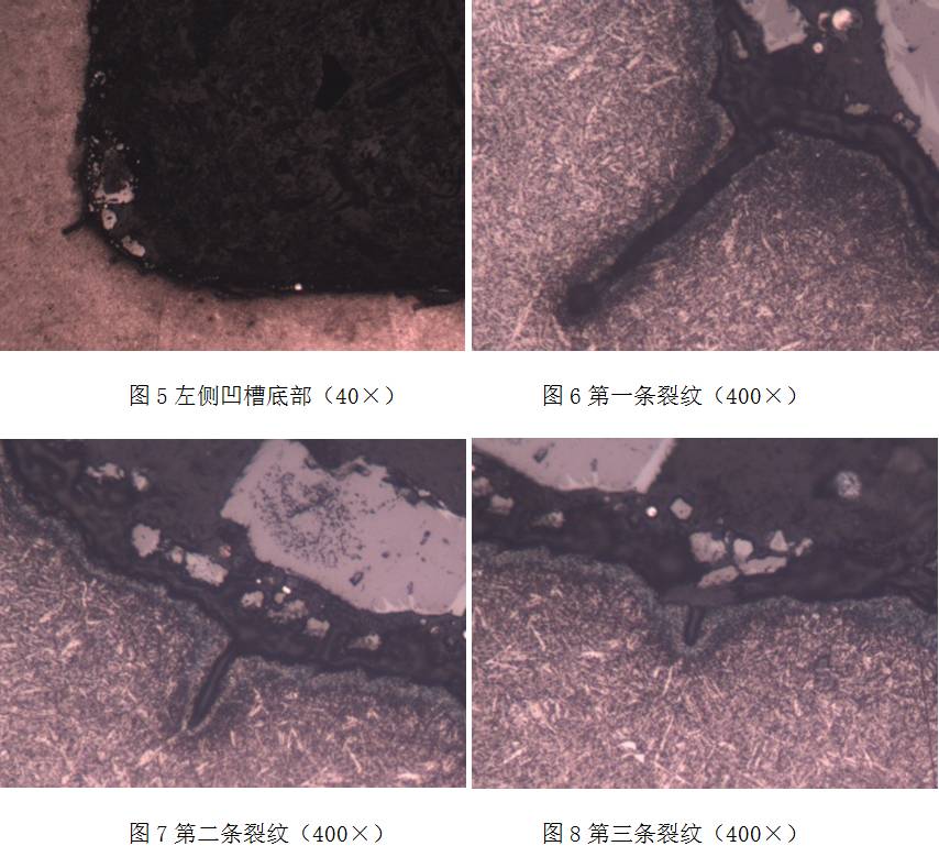 原材料化學(xué)成分.jpg