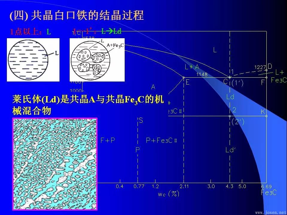 鐵碳合金相圖與結(jié)晶過(guò)程5.webp.jpg