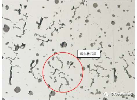 蠕蟲鑄鐵 蠕蟲狀＋球狀石墨 100×