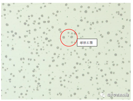 球墨鑄鐵 石墨 100×