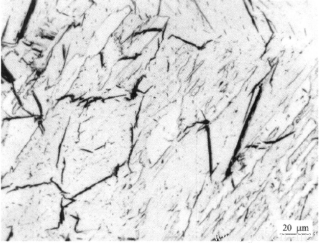 圖1-12 TA16合金板材經(jīng)600℃加氫處理，氫含量570×10-6.png