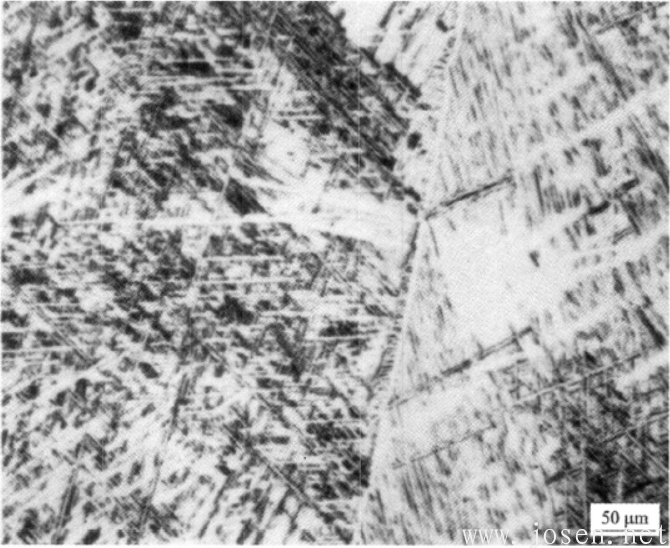 圖1-18 TA7合金α相區(qū)1170℃30’水淬處理，快冷形成的馬氏體.png