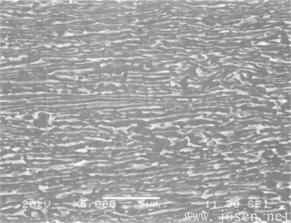 圖2-46 SPZ合金板材加工態(tài)（縱向）：拉長(zhǎng)的變形組織（SEM）.png
