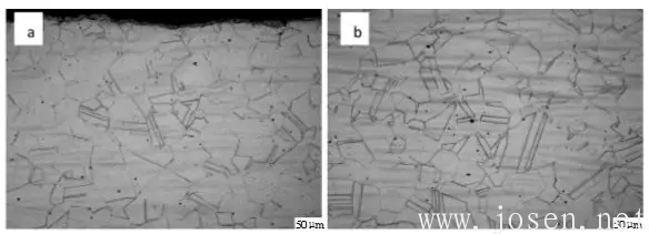 圖6  904L熱軋態(tài)固溶處理后顯微組織（a，邊部；b，心部）.png