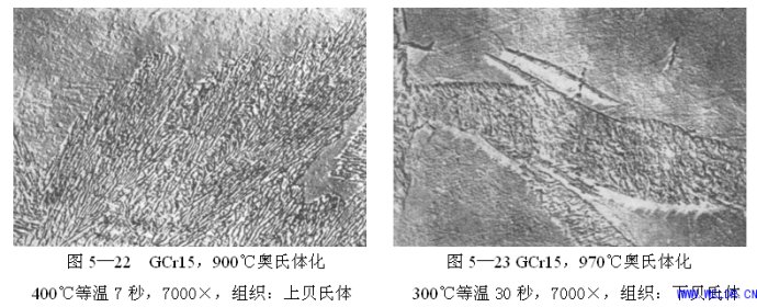 金相組織有哪些？如何區(qū)分？(圖5)