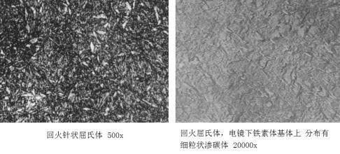 金相組織有哪些？如何區(qū)分？(圖10)